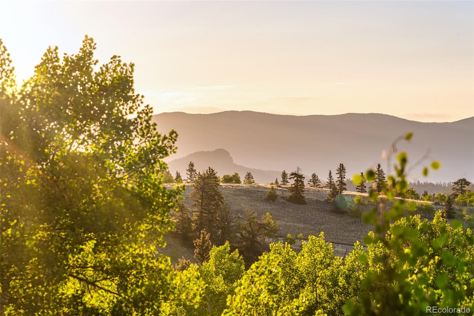 MLS Image #41 for 168  mountain vista ,como, Colorado