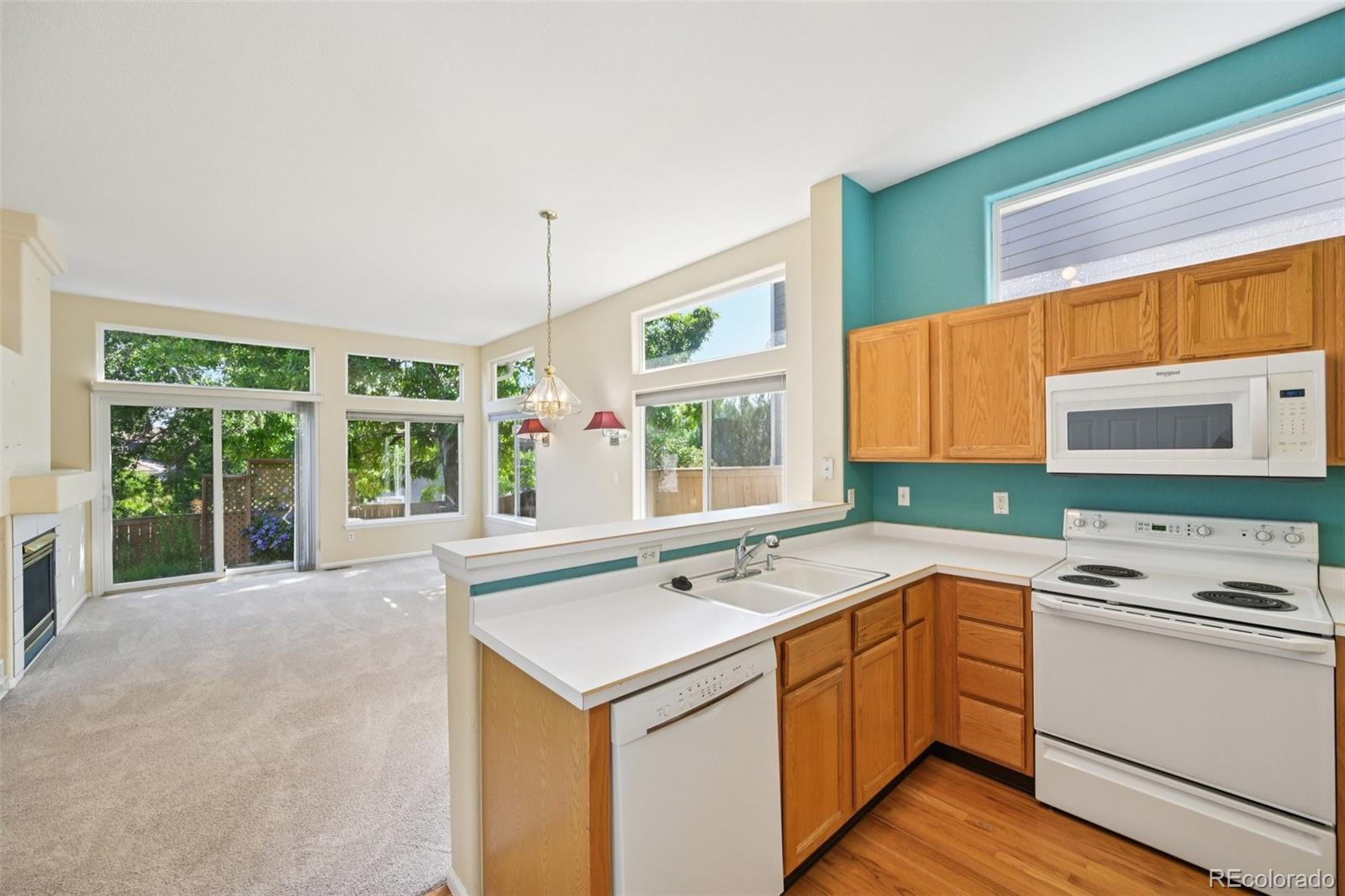 MLS Image #18 for 10231  spotted owl avenue,highlands ranch, Colorado