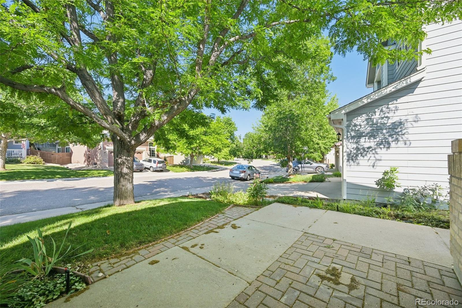 MLS Image #6 for 10231  spotted owl avenue,highlands ranch, Colorado