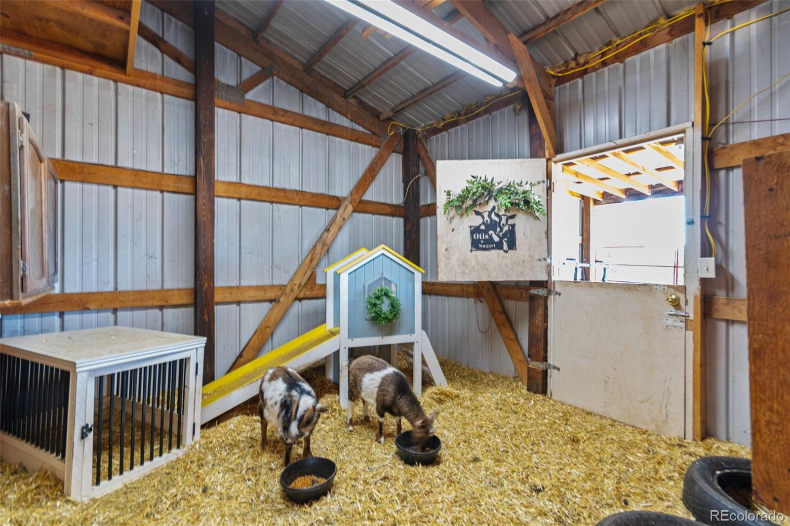 MLS Image #10 for 1380  oak valley road,sedalia, Colorado