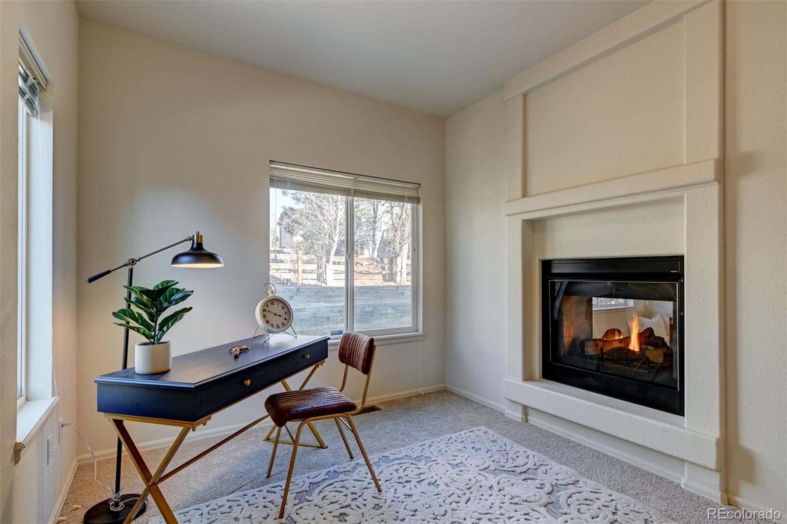MLS Image #17 for 1460  lily lake drive,colorado springs, Colorado