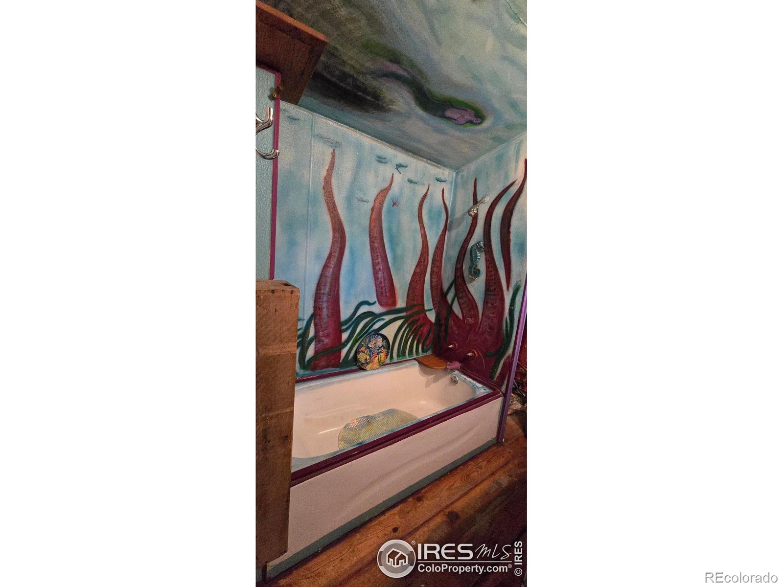 MLS Image #10 for 224 s curtis street,brush, Colorado
