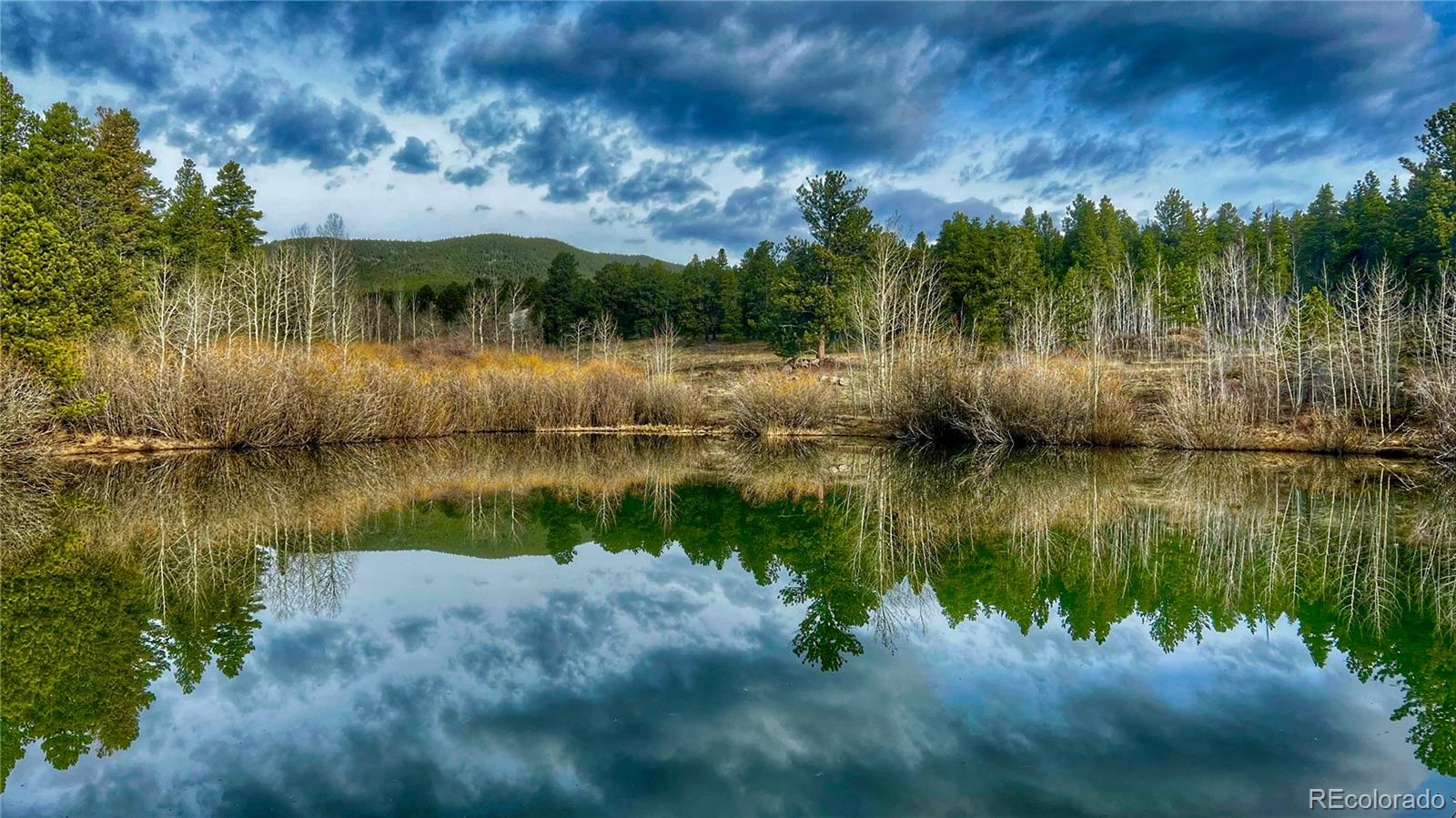 MLS Image #44 for 1021  lodge pole drive,black hawk, Colorado