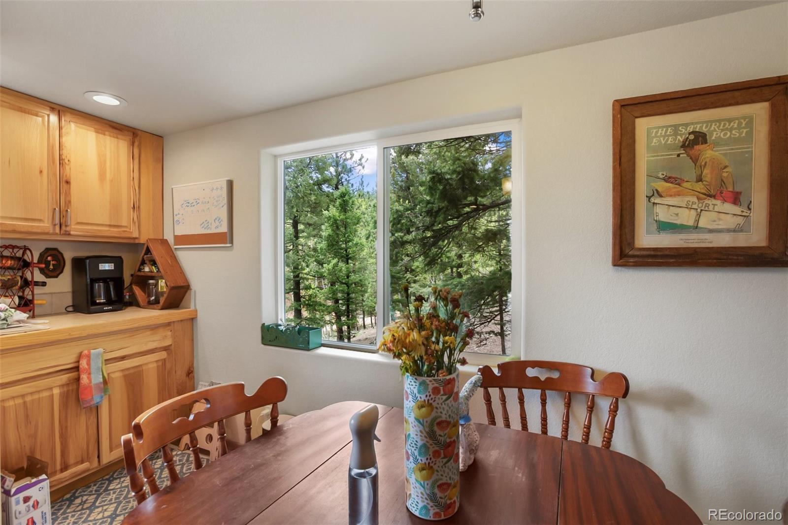 MLS Image #8 for 501  wakanda trail,woodland park, Colorado