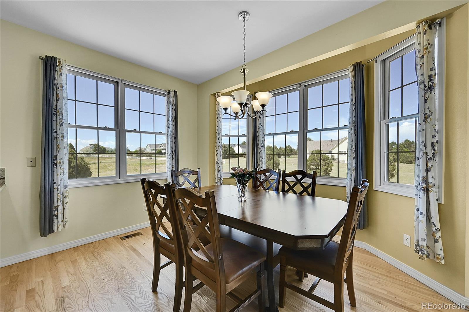 MLS Image #7 for 41479  countryside circle,parker, Colorado