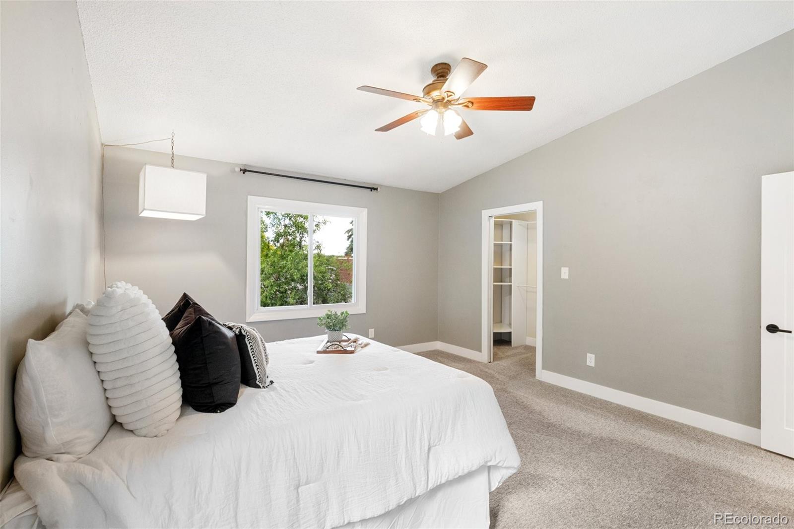 MLS Image #17 for 2434  virgo drive,colorado springs, Colorado