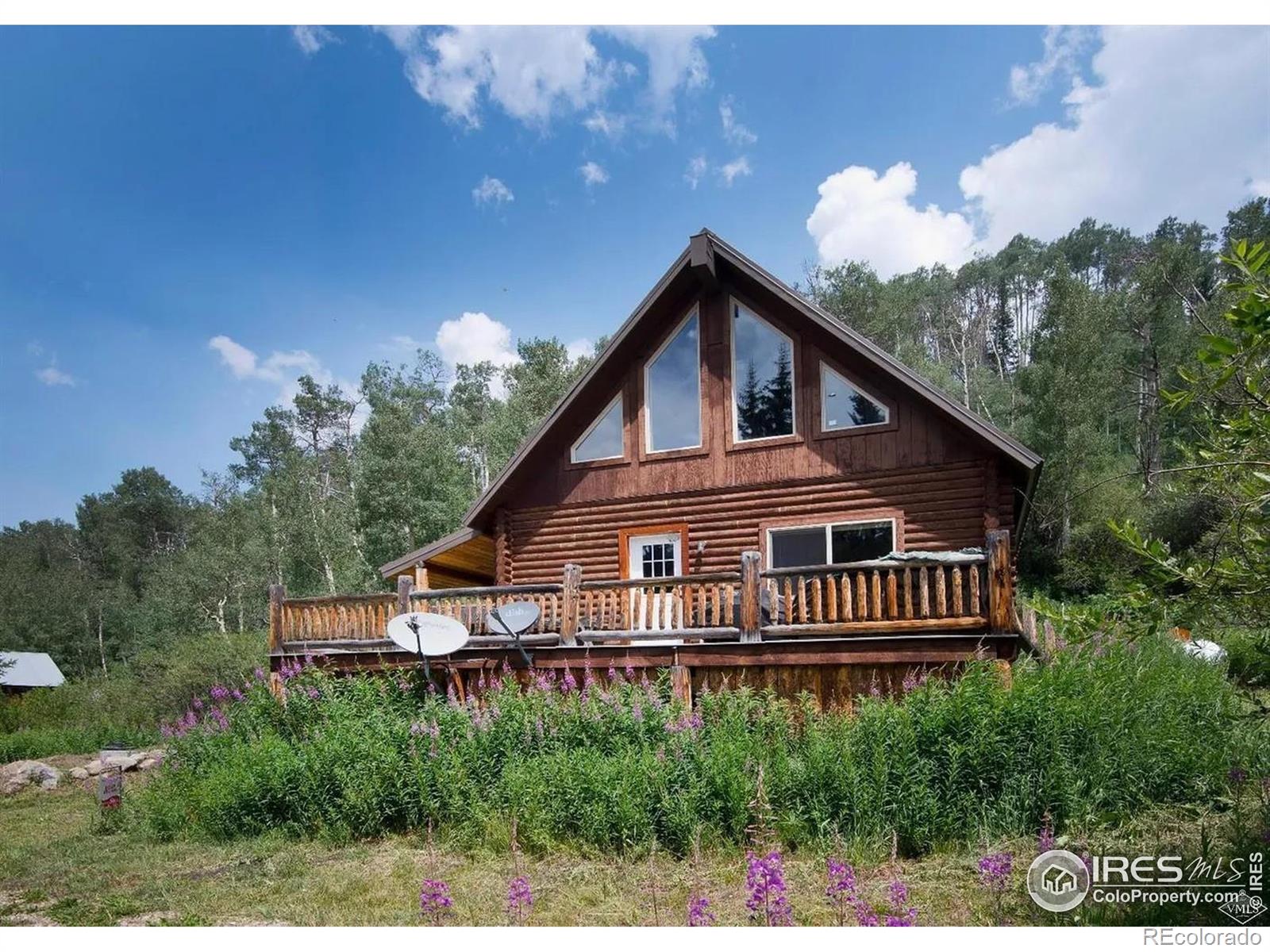 MLS Image #0 for 320  mill street,eagle, Colorado