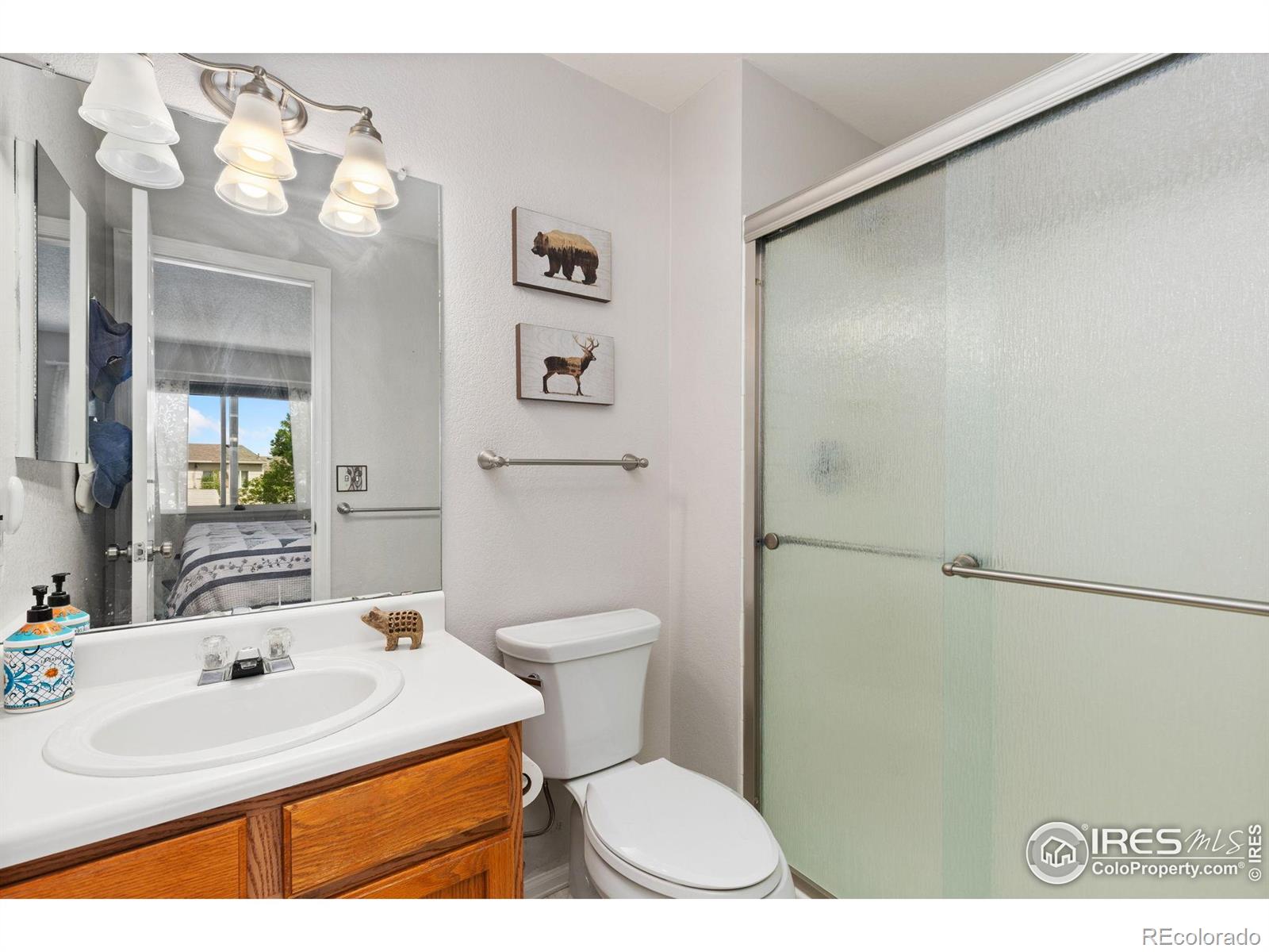 MLS Image #12 for 1026  red oak drive,longmont, Colorado