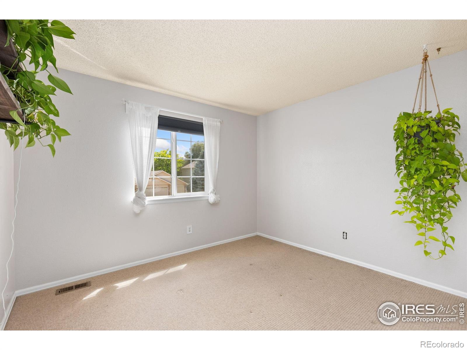 MLS Image #13 for 1026  red oak drive,longmont, Colorado