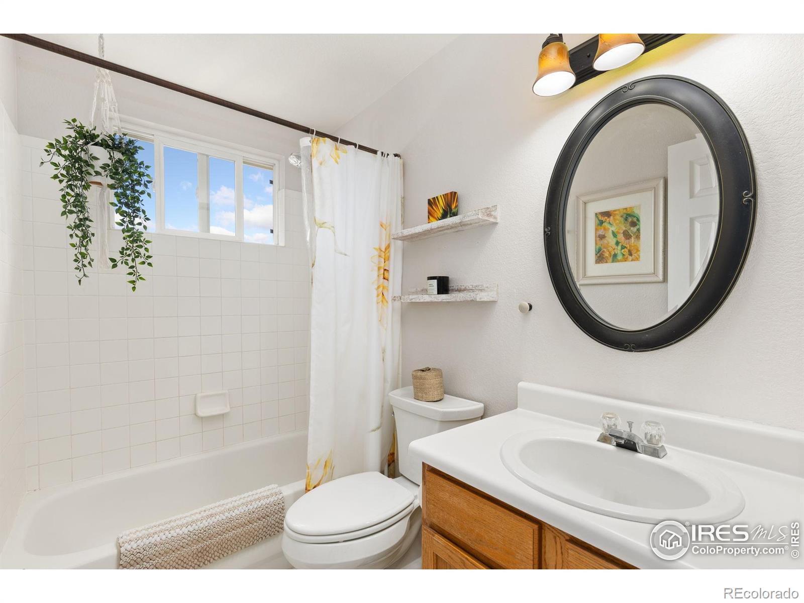 MLS Image #14 for 1026  red oak drive,longmont, Colorado