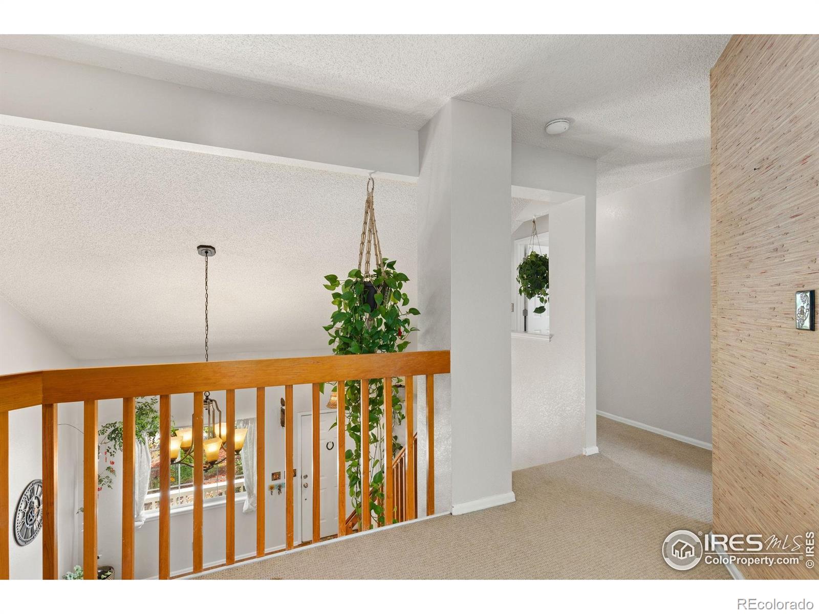 MLS Image #16 for 1026  red oak drive,longmont, Colorado