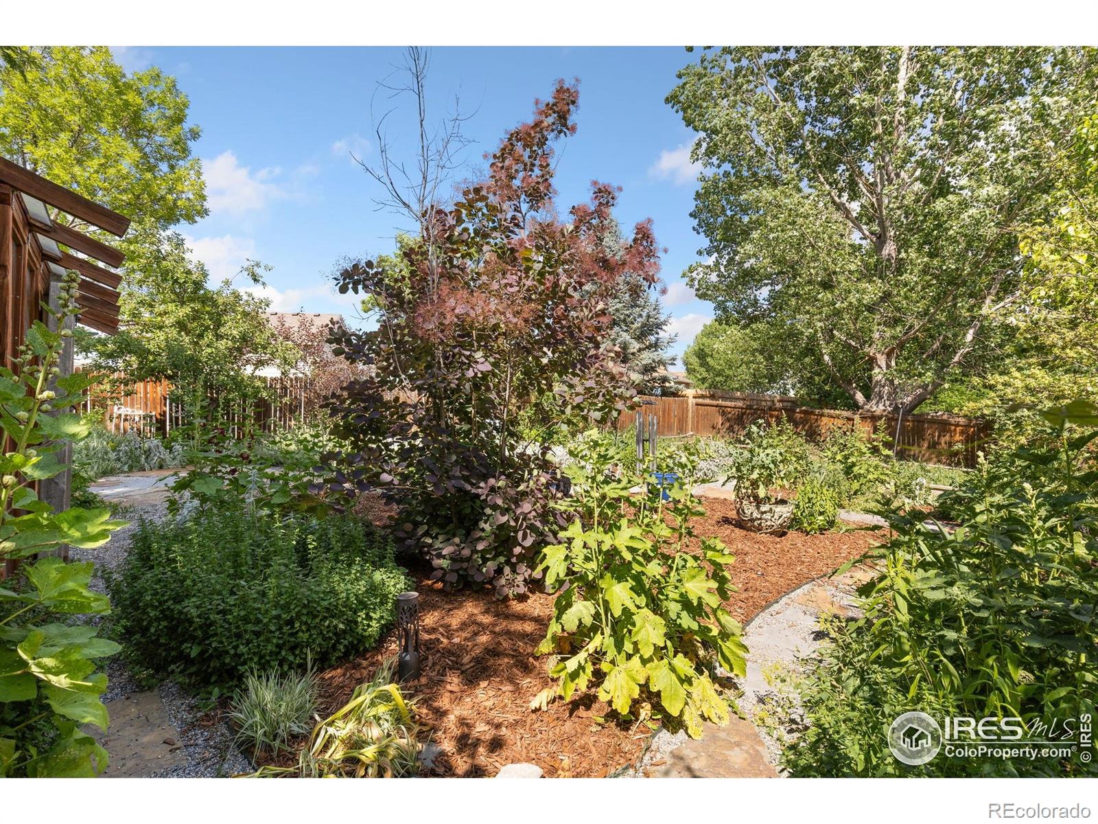 MLS Image #23 for 1026  red oak drive,longmont, Colorado