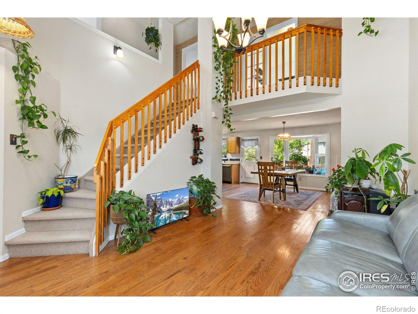 MLS Image #3 for 1026  red oak drive,longmont, Colorado