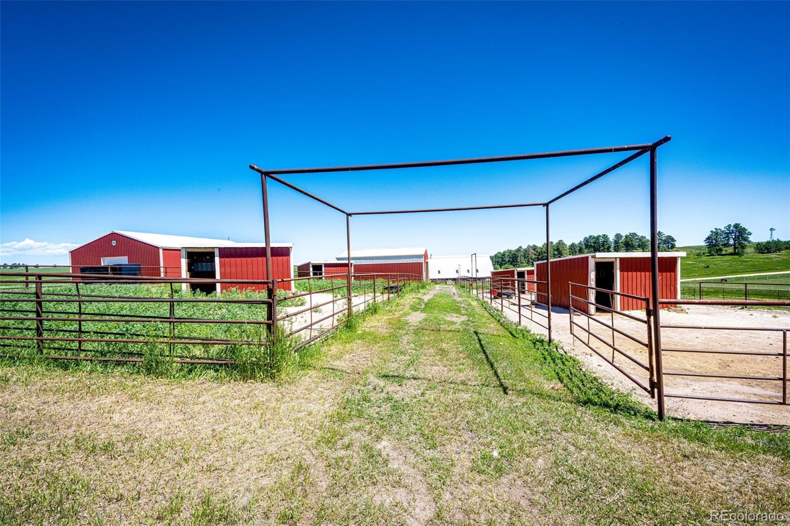 MLS Image #32 for 21179  comanche creek drive,elbert, Colorado