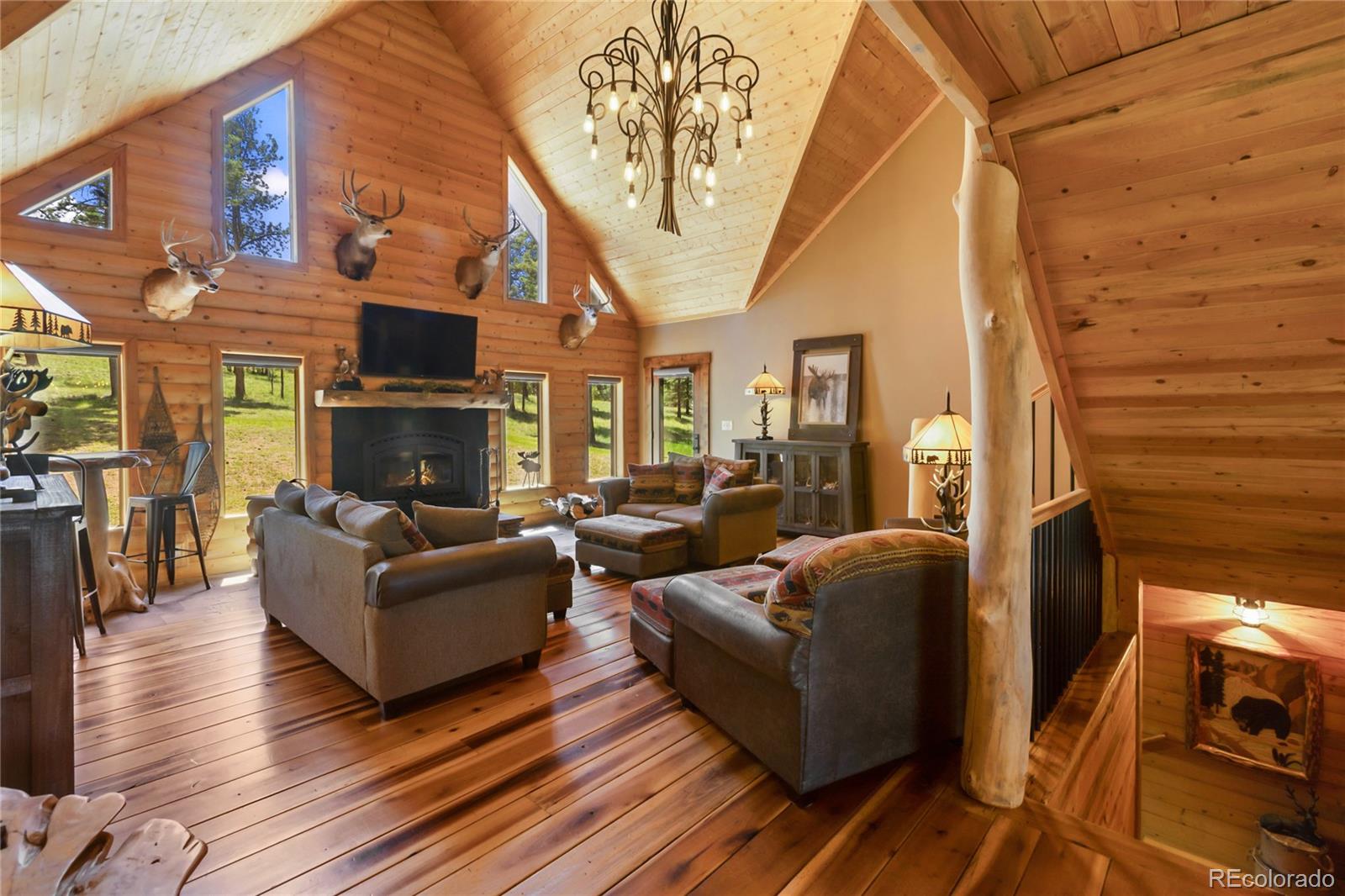 MLS Image #16 for 101  daniwood grove,florissant, Colorado