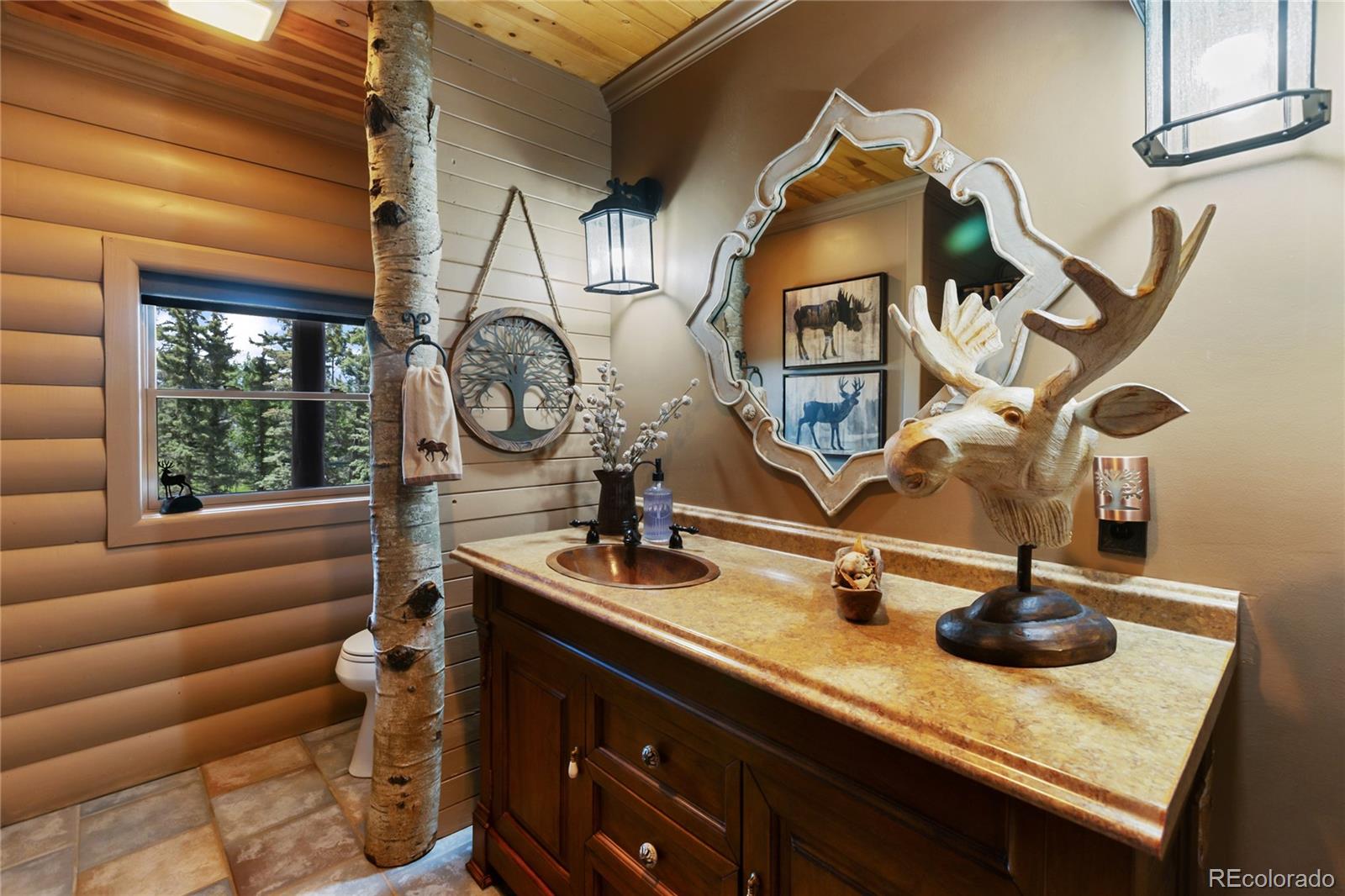 MLS Image #23 for 101  daniwood grove,florissant, Colorado