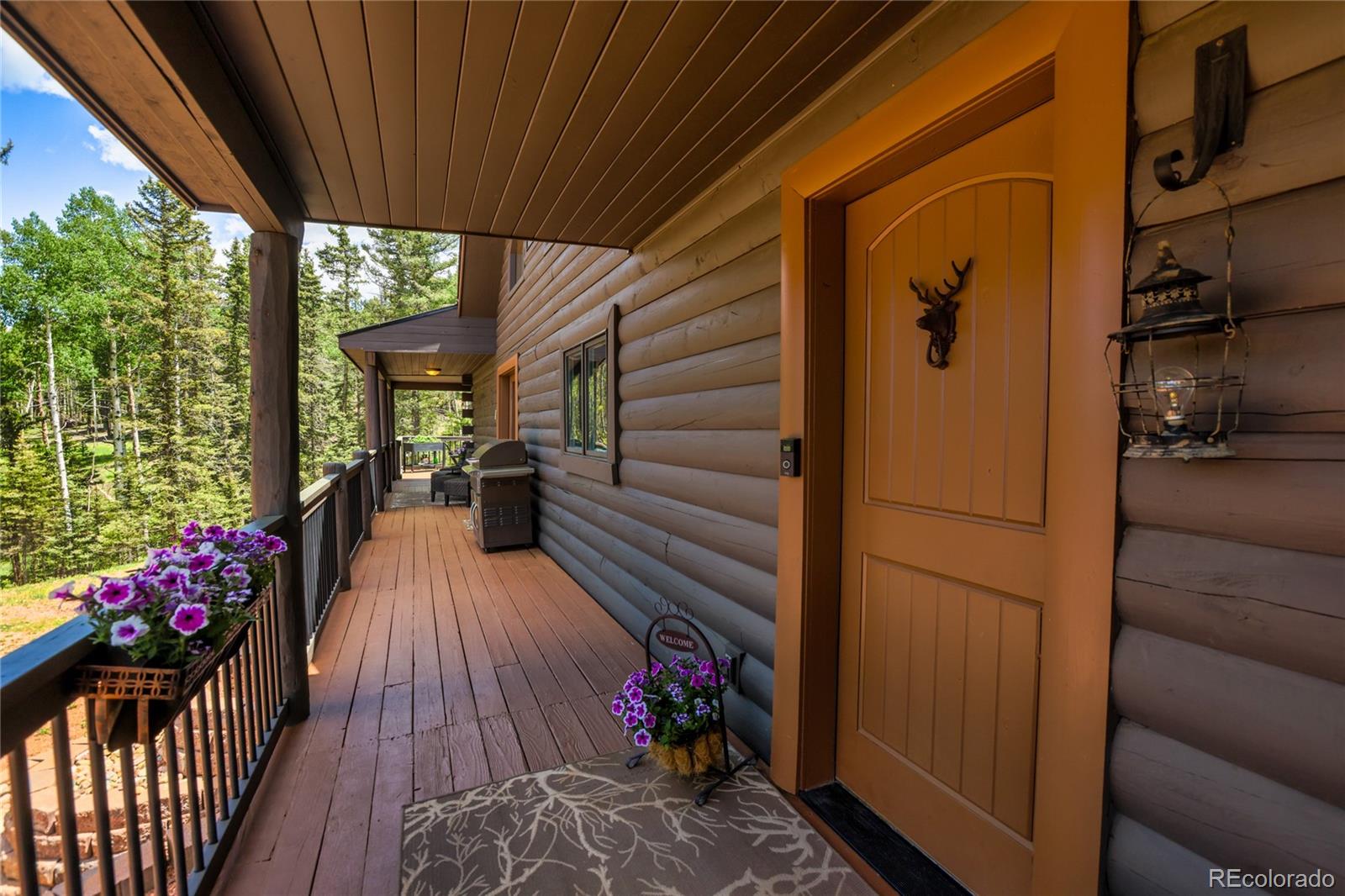MLS Image #3 for 101  daniwood grove,florissant, Colorado
