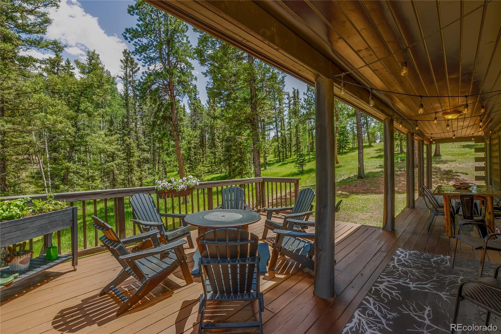 MLS Image #4 for 101  daniwood grove,florissant, Colorado