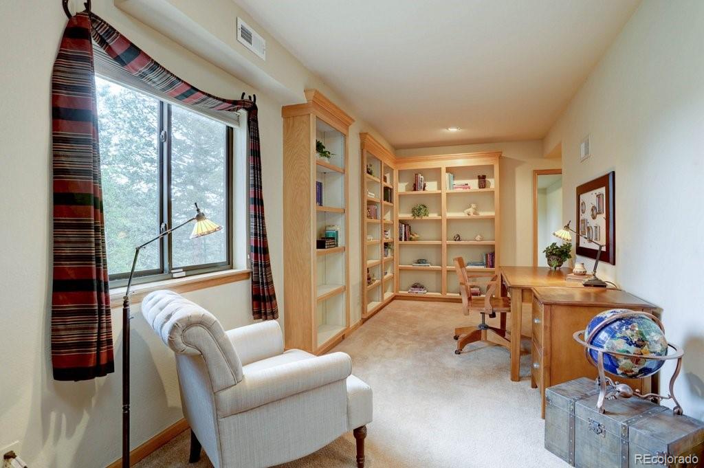 MLS Image #28 for 220  long ridge drive,bailey, Colorado