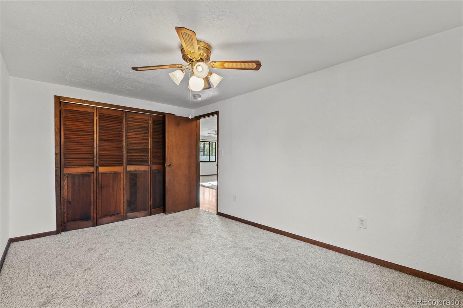 MLS Image #23 for 404  ute avenue,simla, Colorado