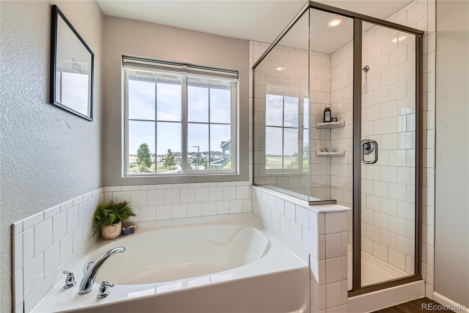 MLS Image #14 for 5975  hanover street,denver, Colorado