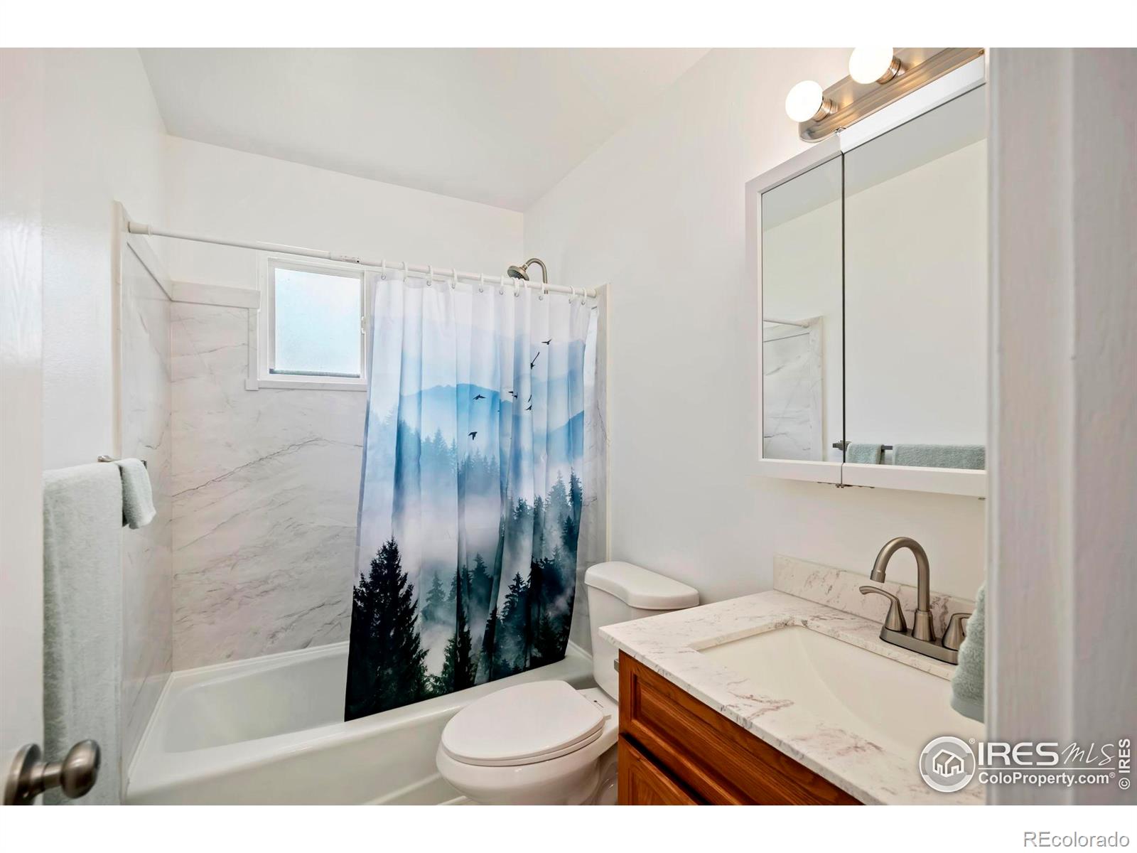 MLS Image #27 for 1302  22nd street,loveland, Colorado