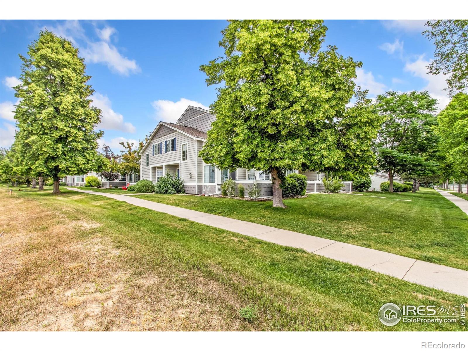 MLS Image #26 for 2502  timberwood drive,fort collins, Colorado