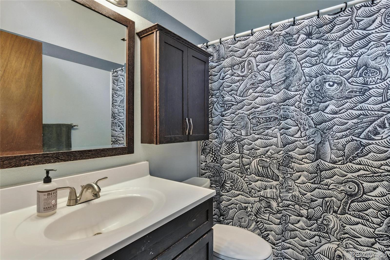 MLS Image #12 for 571  wisp creek drive,bailey, Colorado