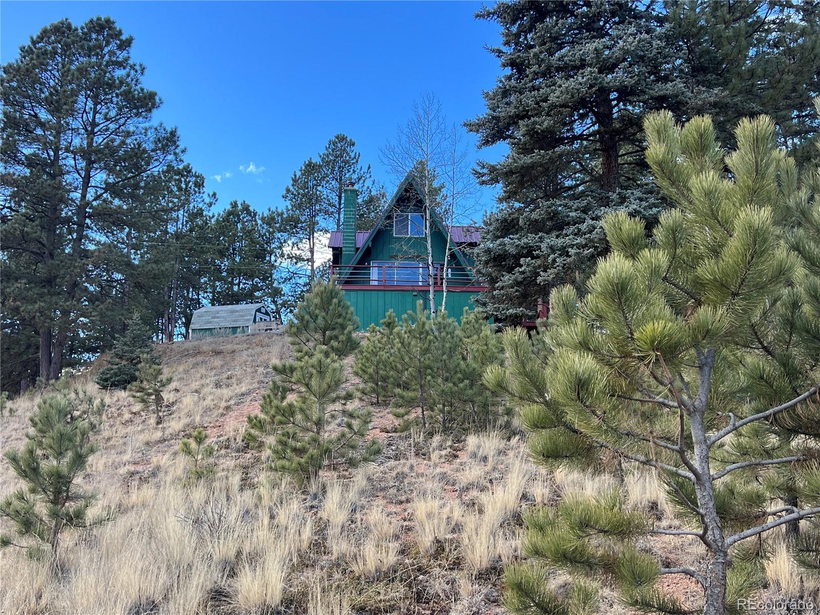MLS Image #36 for 413 w lake drive,divide, Colorado