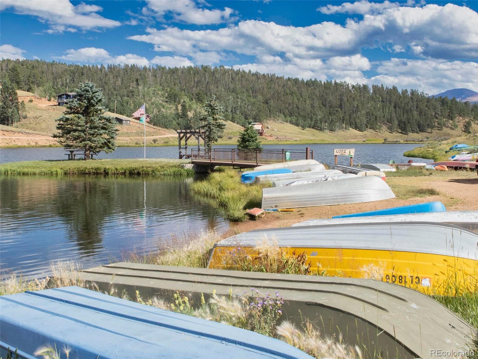 MLS Image #40 for 413 w lake drive,divide, Colorado