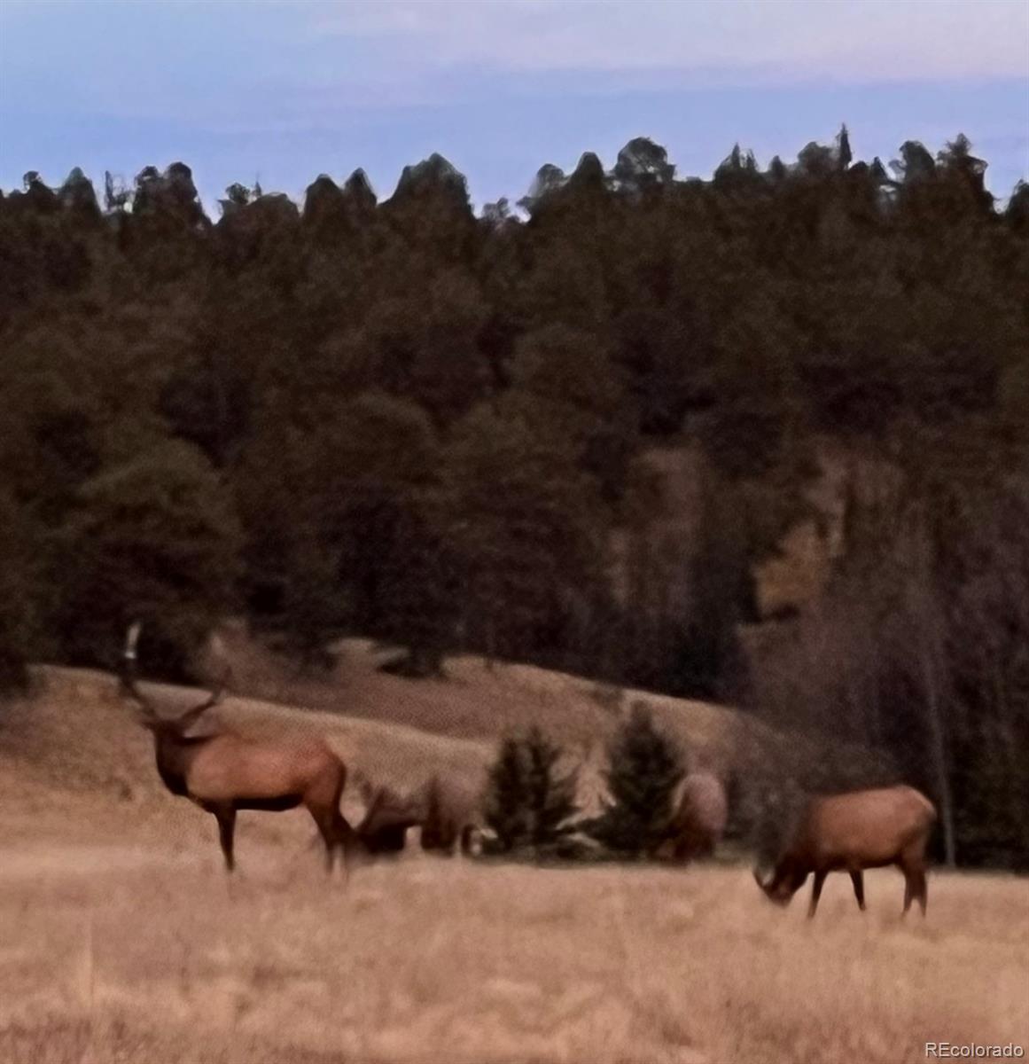 MLS Image #44 for 413 w lake drive,divide, Colorado