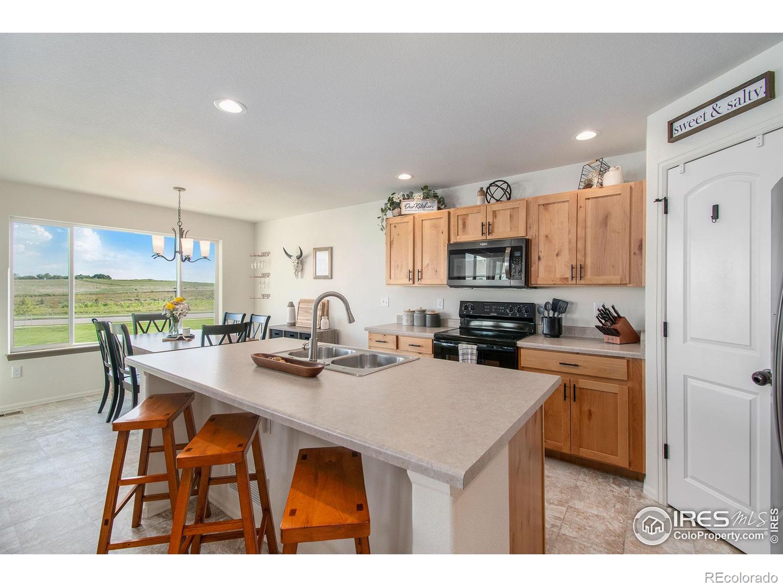 MLS Image #6 for 1103  ibex drive,severance, Colorado