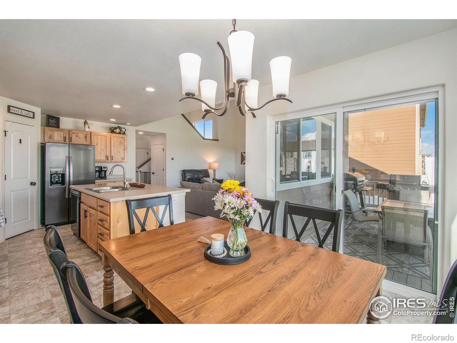 MLS Image #9 for 1103  ibex drive,severance, Colorado