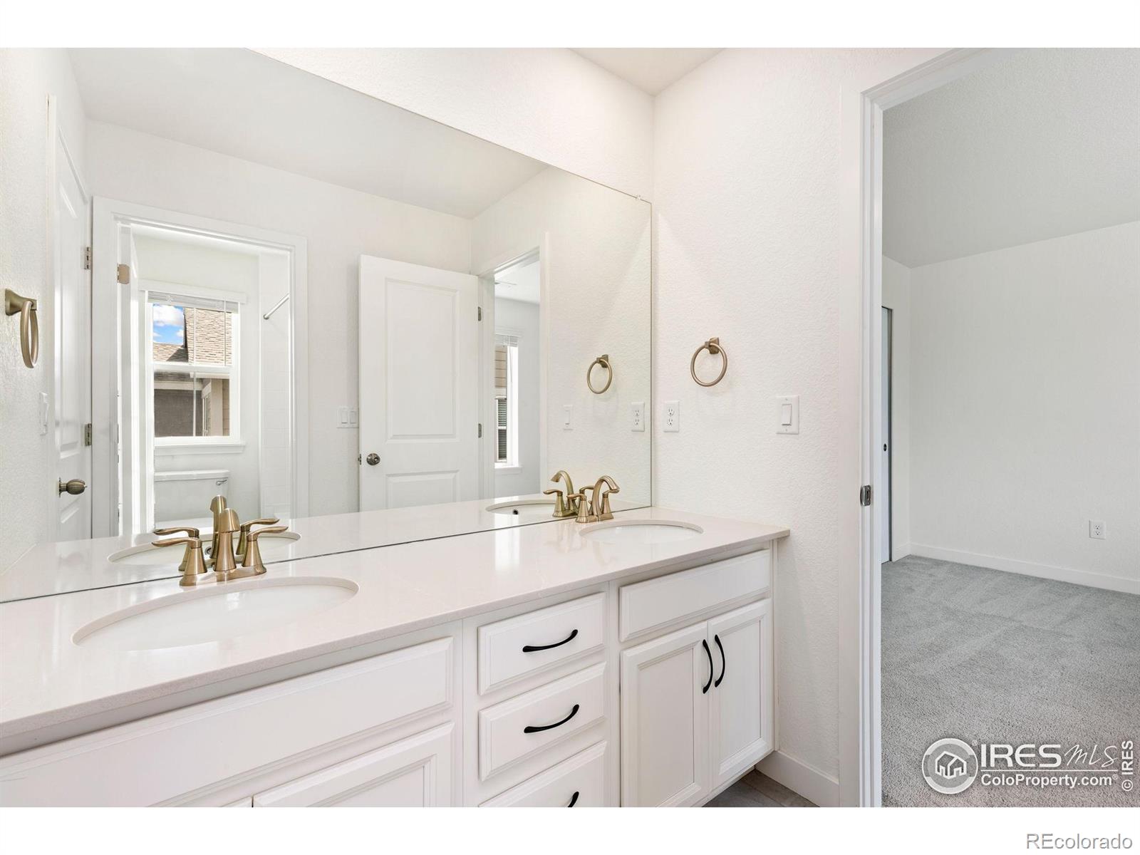 MLS Image #25 for 5226  inland avenue,firestone, Colorado
