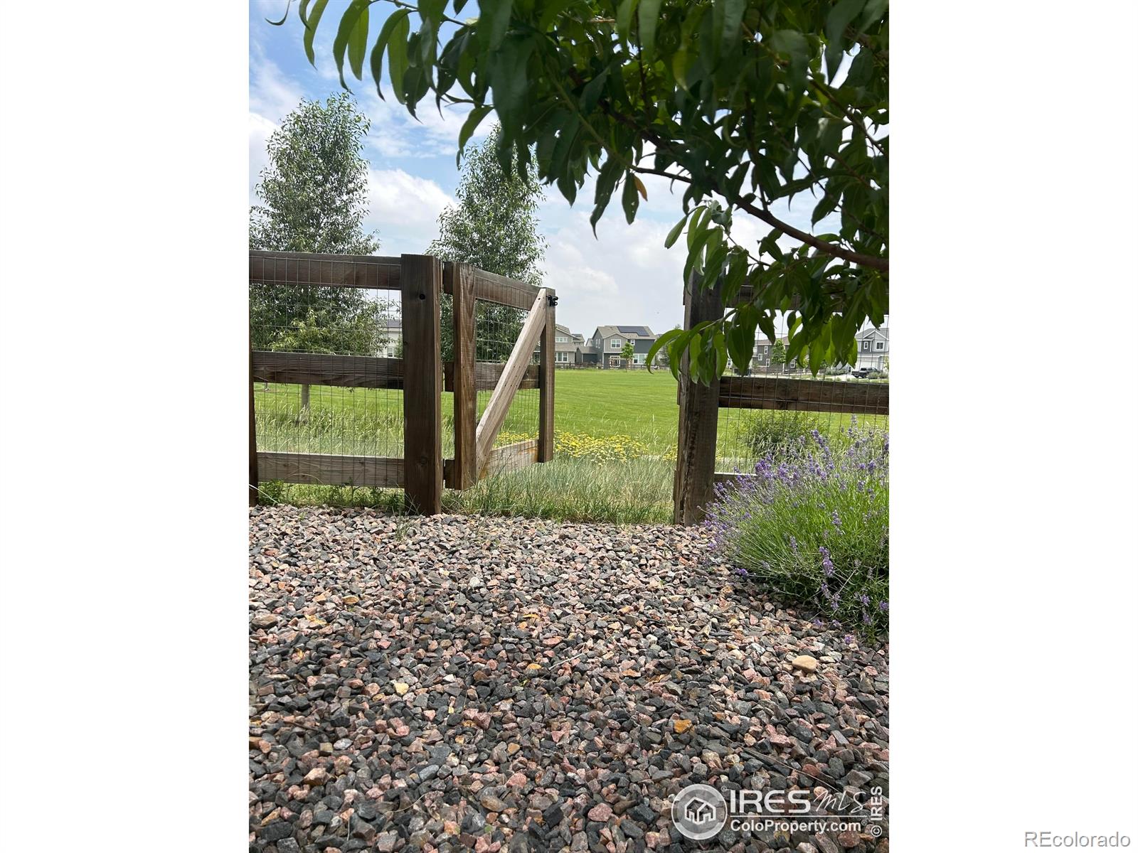MLS Image #31 for 5226  inland avenue,firestone, Colorado