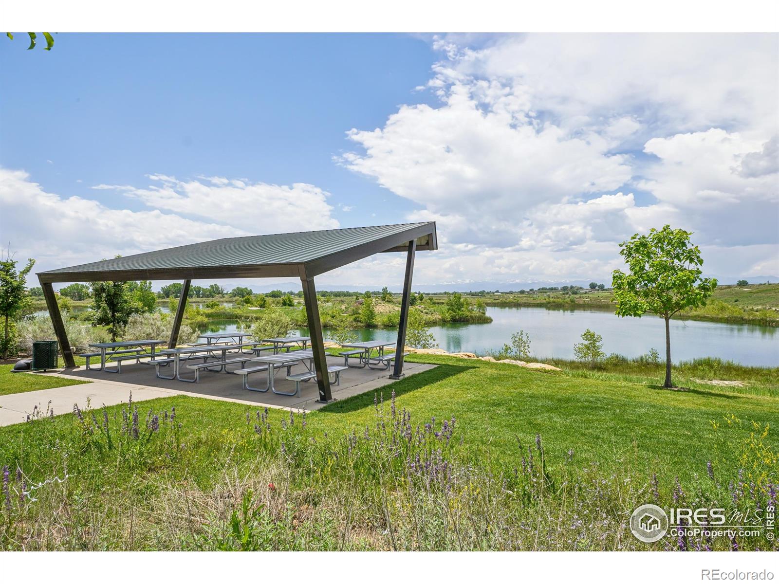 MLS Image #39 for 5226  inland avenue,firestone, Colorado