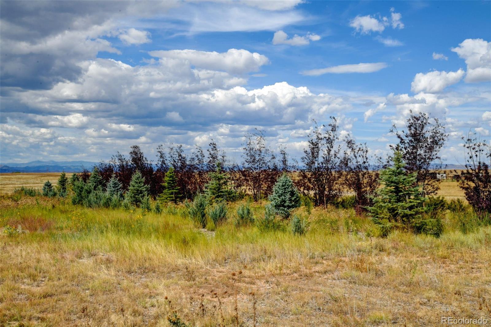 MLS Image #41 for 55343  county road 15 ,carr, Colorado