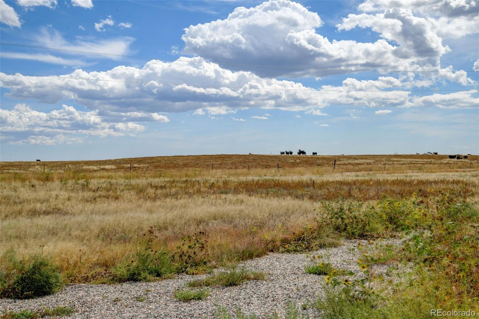 MLS Image #42 for 55343  county road 15 ,carr, Colorado