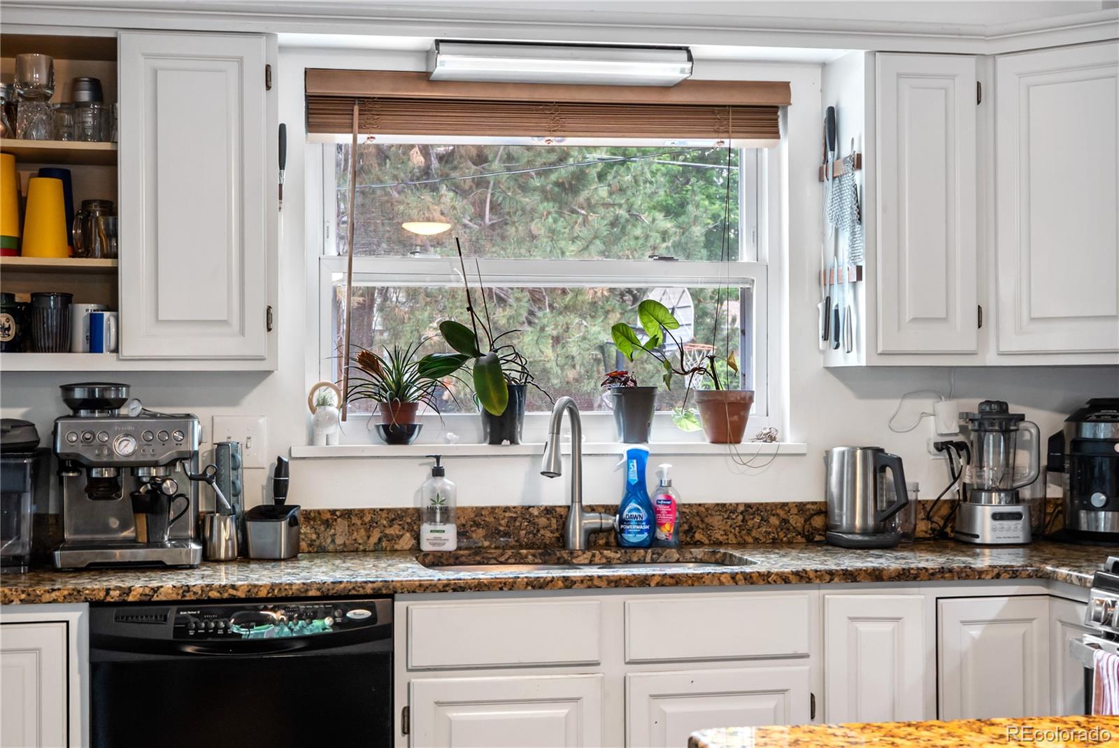MLS Image #3 for 2730 s jay street,denver, Colorado