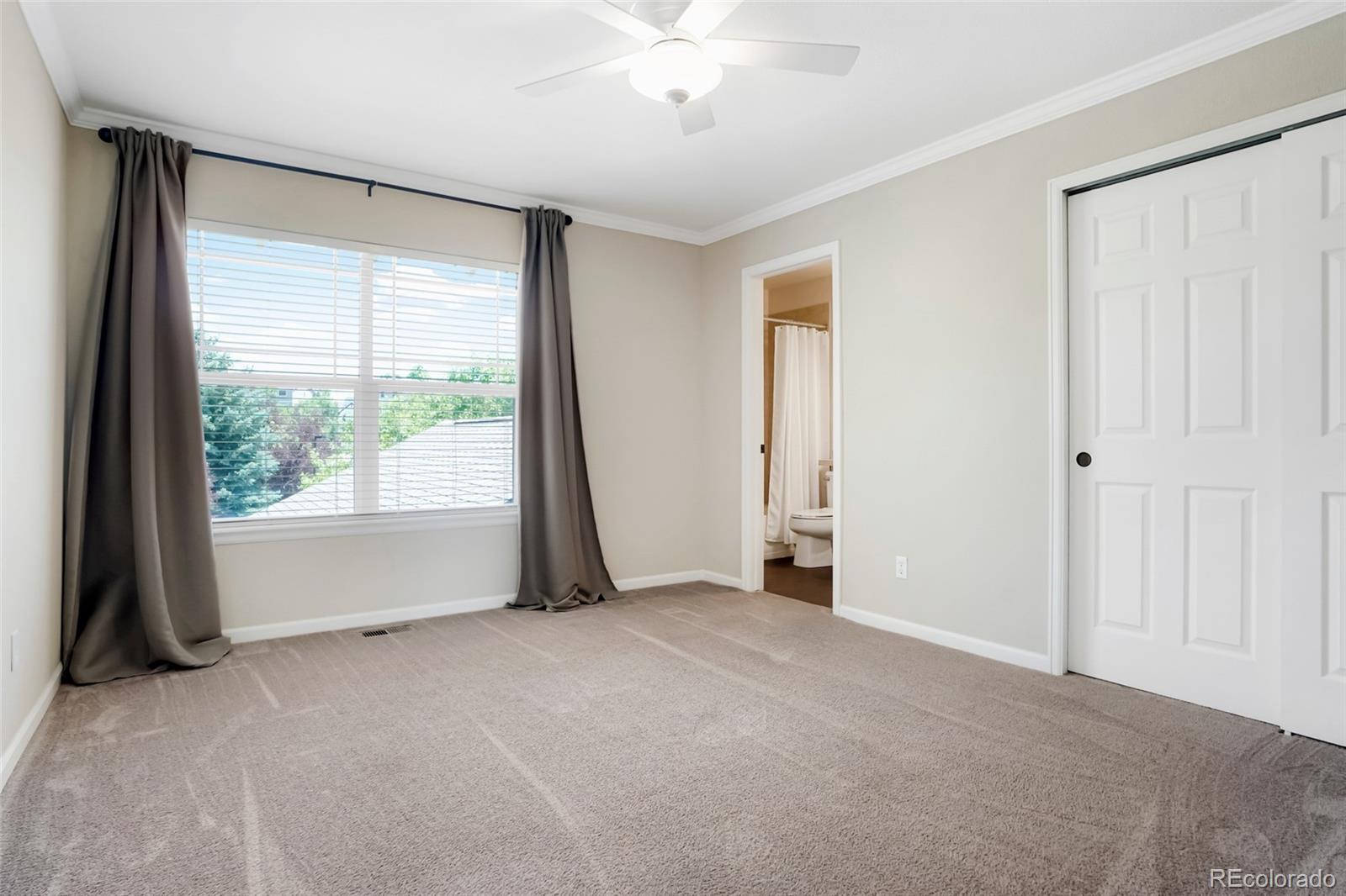 MLS Image #28 for 687  briar haven drive,castle pines, Colorado