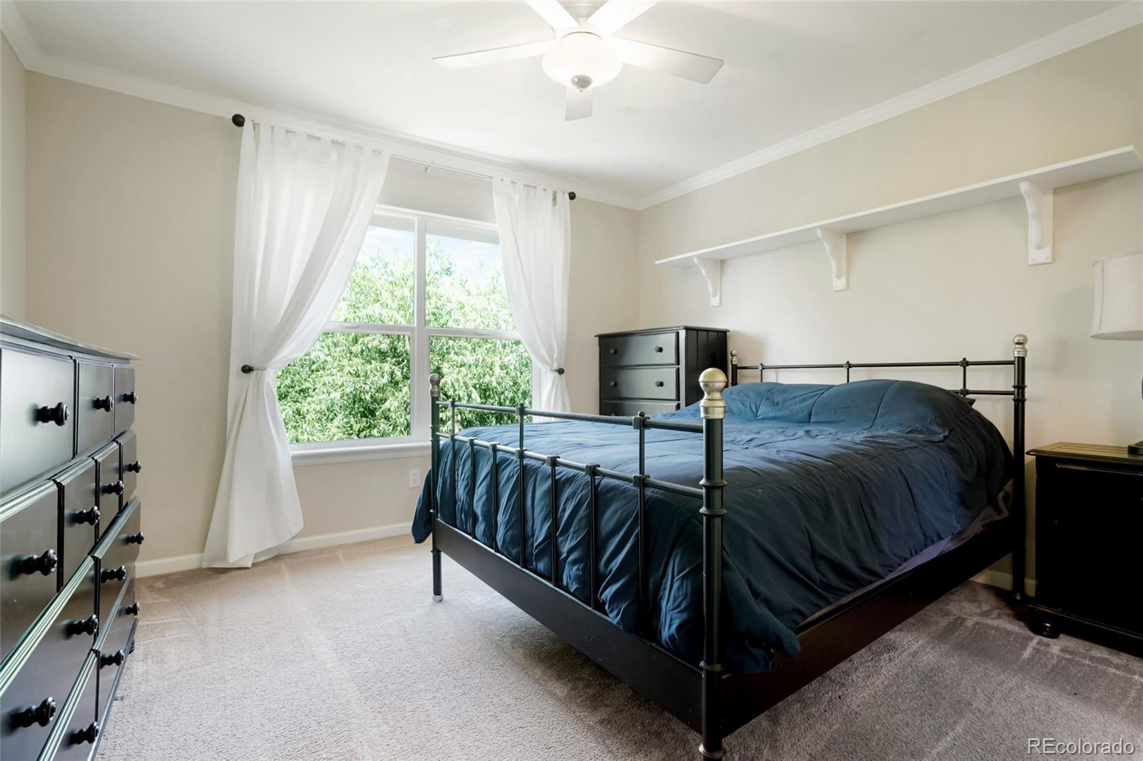 MLS Image #30 for 687  briar haven drive,castle pines, Colorado