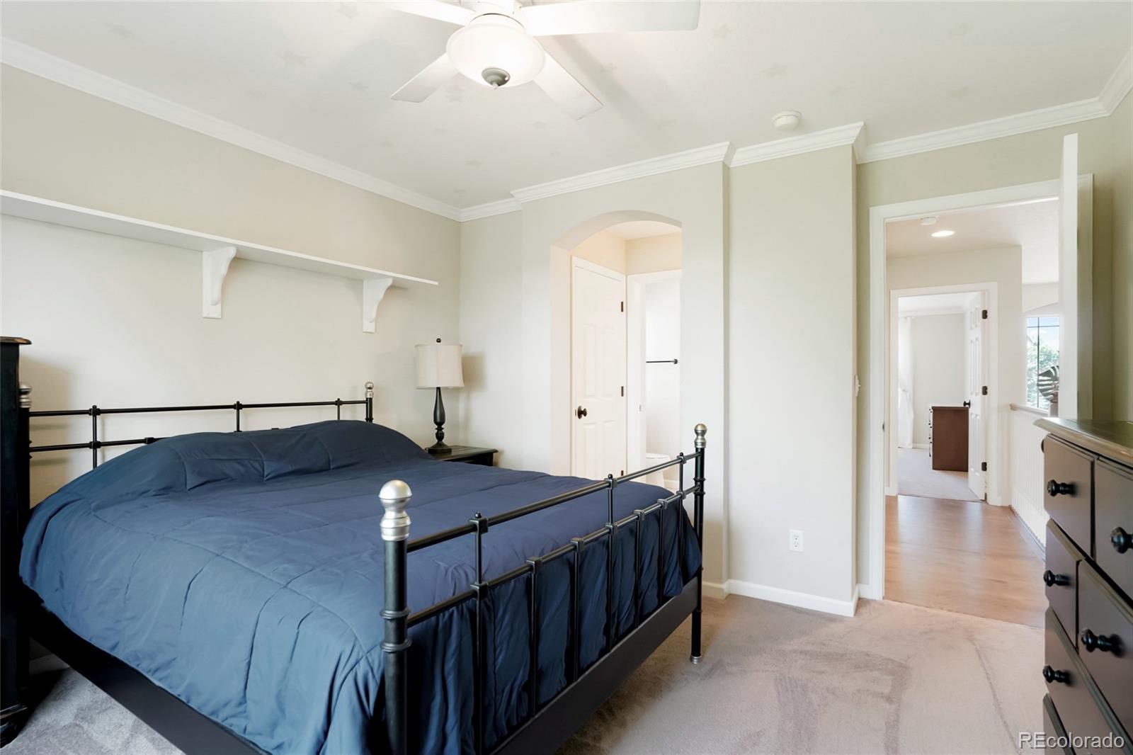 MLS Image #31 for 687  briar haven drive,castle pines, Colorado
