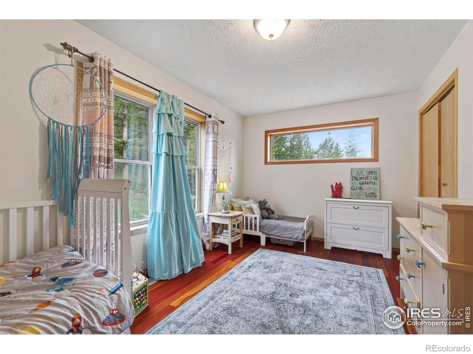 MLS Image #17 for 100  moon gulch road,rollinsville, Colorado