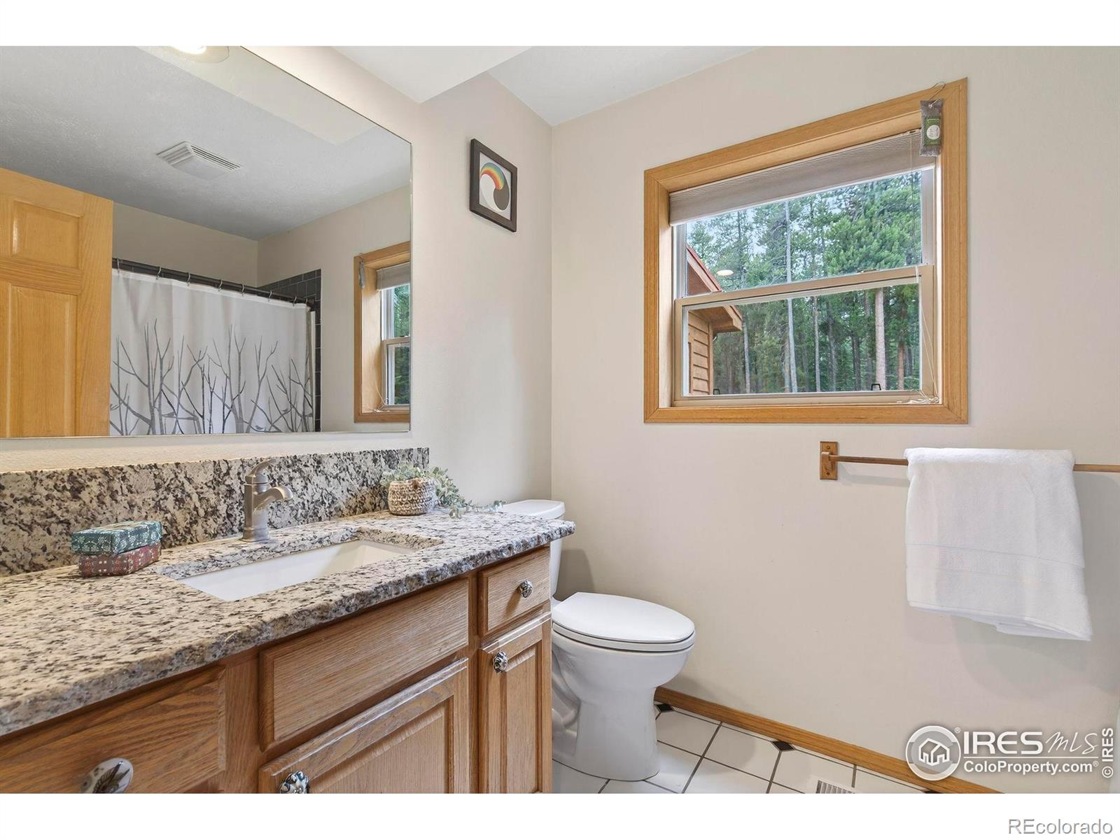 MLS Image #18 for 100  moon gulch road,rollinsville, Colorado