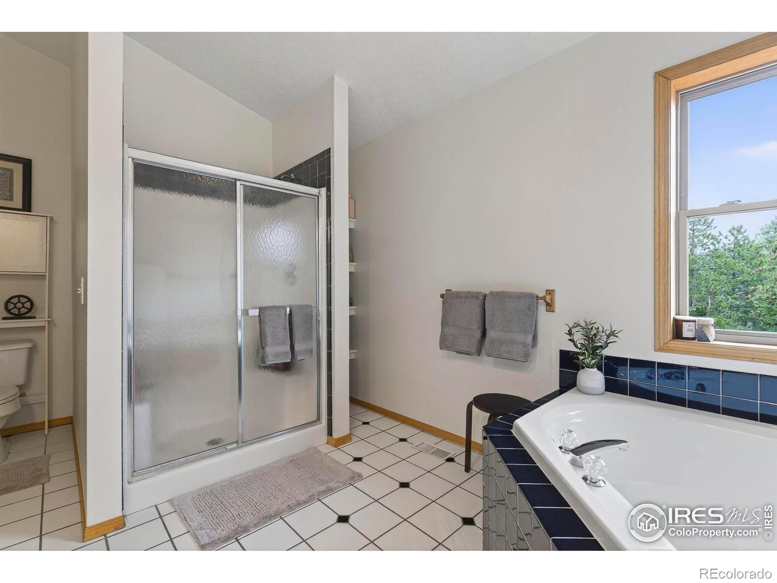 MLS Image #25 for 100  moon gulch road,rollinsville, Colorado
