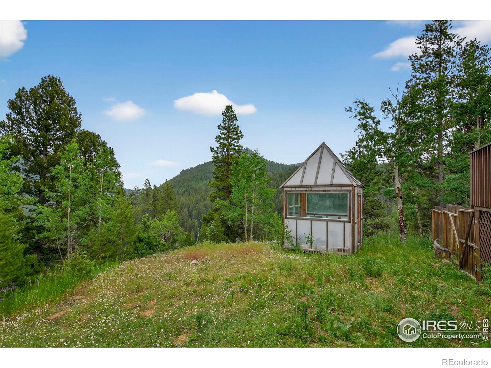 MLS Image #31 for 100  moon gulch road,rollinsville, Colorado