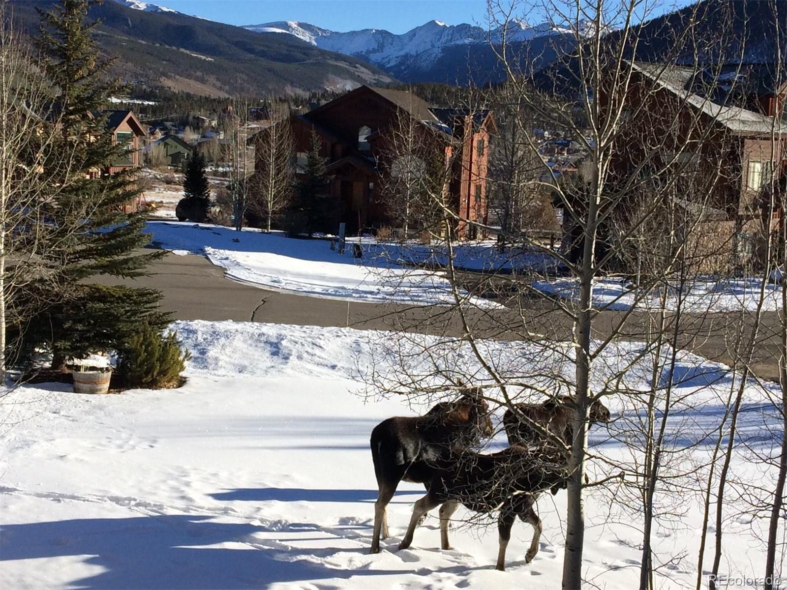 MLS Image #34 for 31  montane court,dillon, Colorado