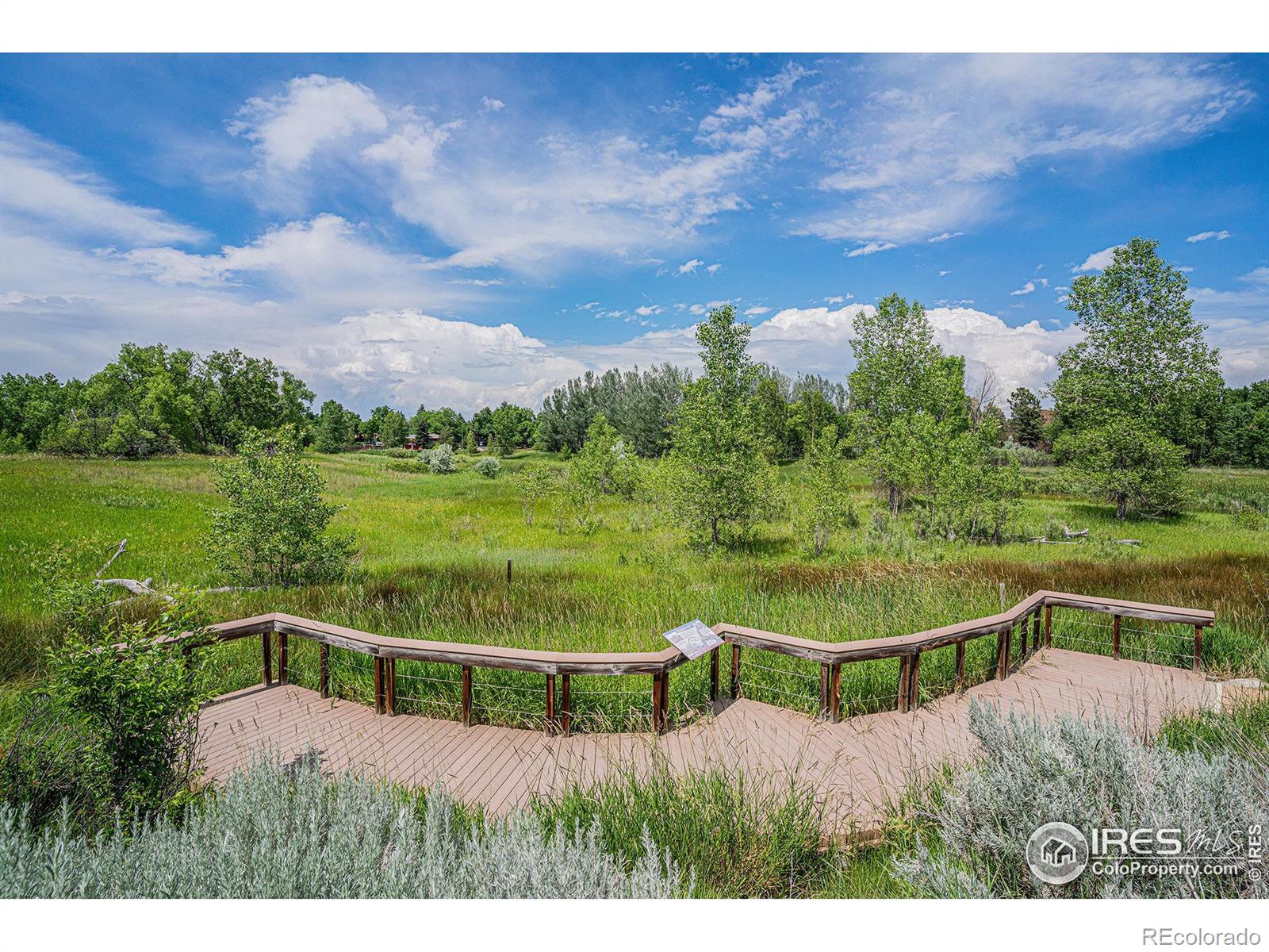 MLS Image #36 for 1417  skyline drive,fort collins, Colorado