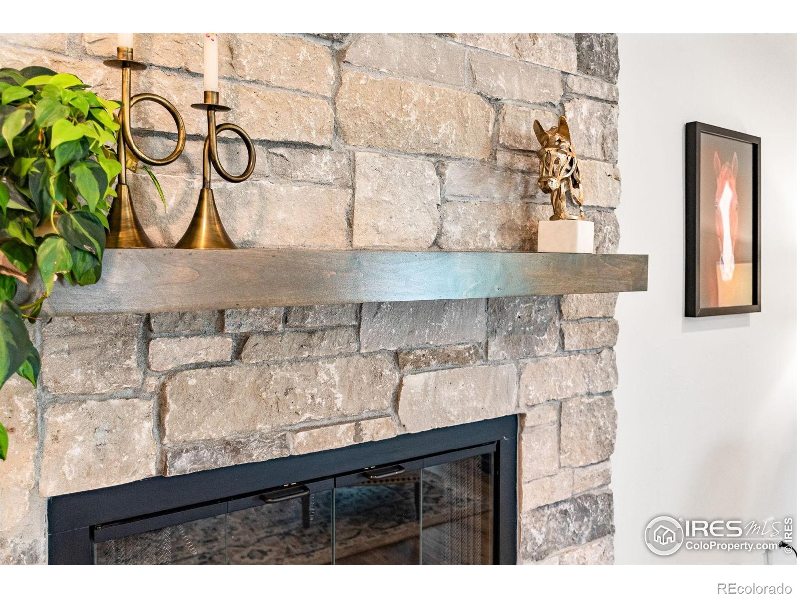 MLS Image #17 for 2017  vaquero street,longmont, Colorado