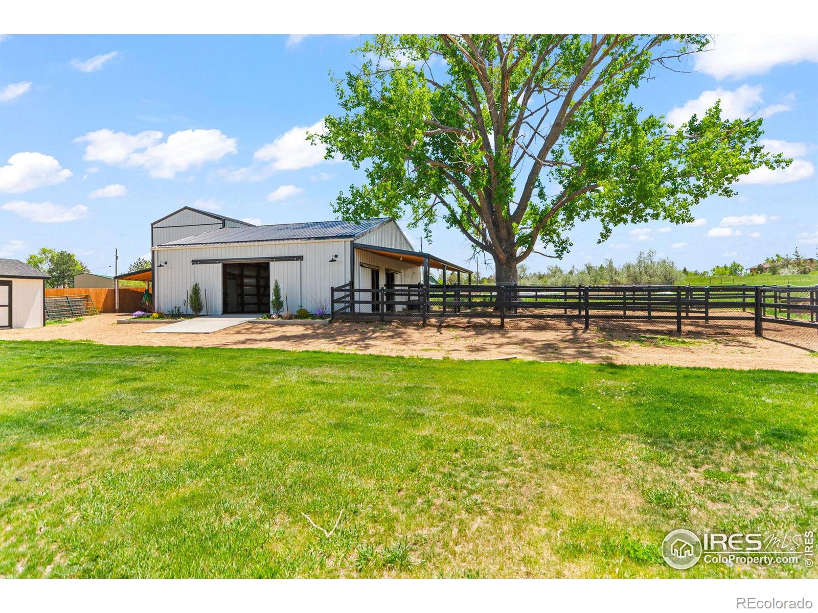 MLS Image #2 for 2017  vaquero street,longmont, Colorado